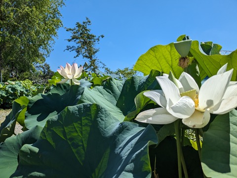 PXL_20230717_003727630