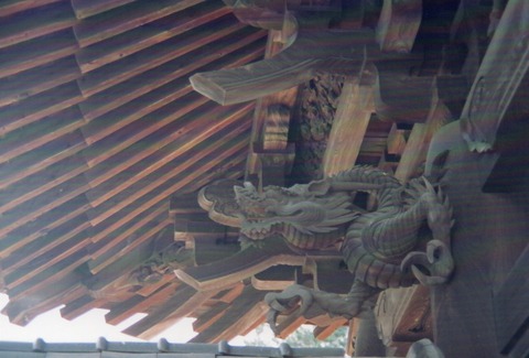 img20240826_16570308