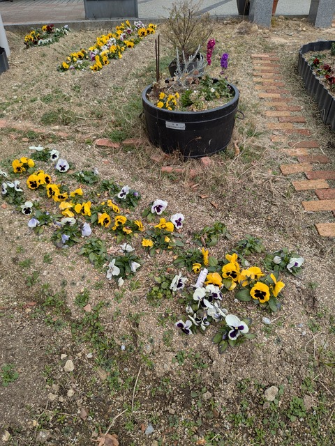 PXL_20250117_020038361