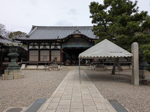 PXL_20250401_015923789