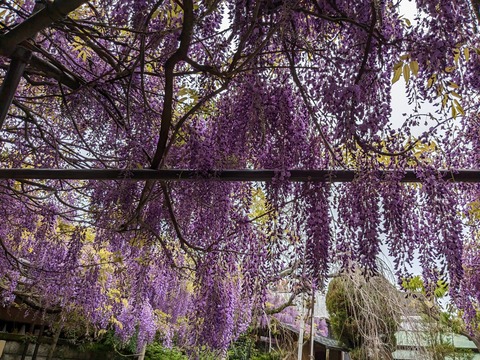 PXL_20240422_014320787