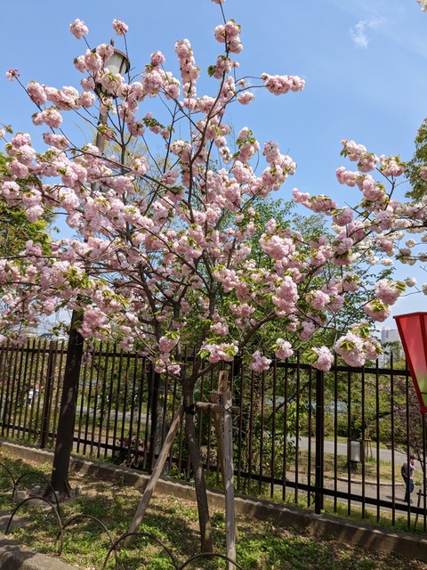 PXL_20230411_034654457