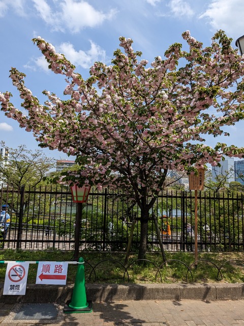 PXL_20230411_035243344