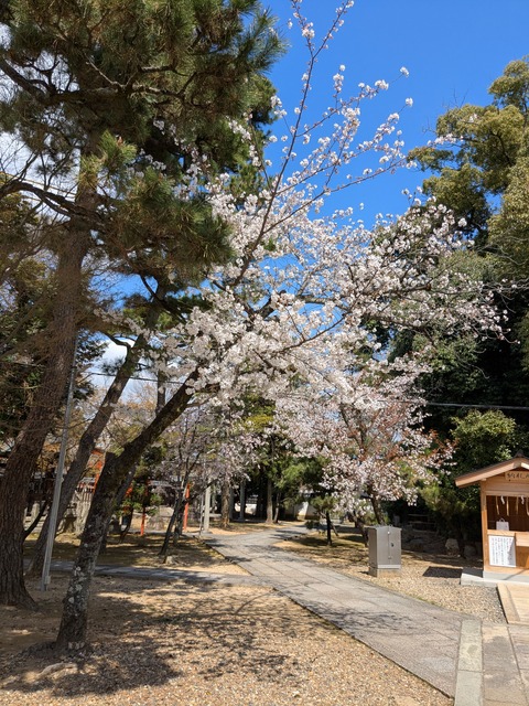 PXL_20250404_015847703