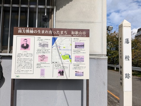 PXL_20241030_021454151.MP