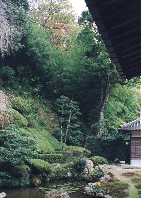 img20231112_14345504