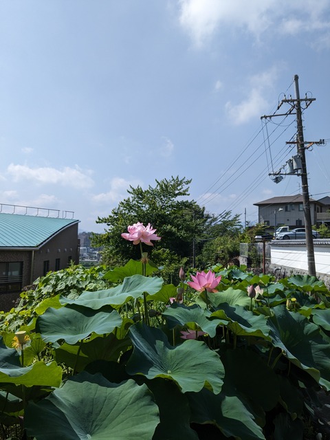 PXL_20230706_004150081