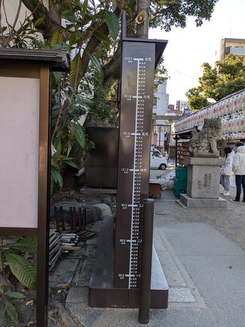 PXL_20241217_010854867