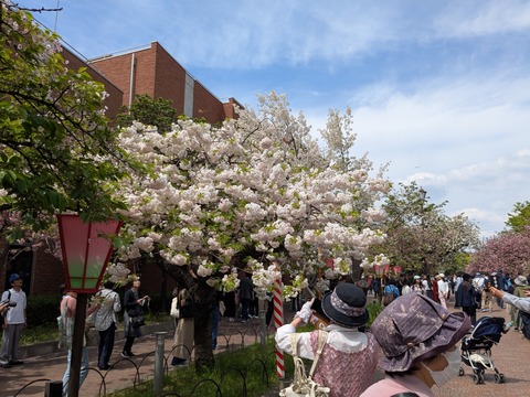 PXL_20260414_041636309