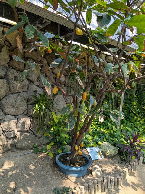 PXL_20250416_045850560