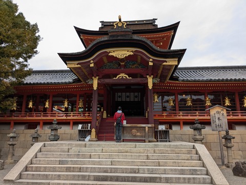 PXL_20250401_033019855