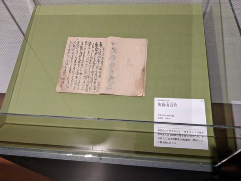 PXL_20240206_013823862.MP