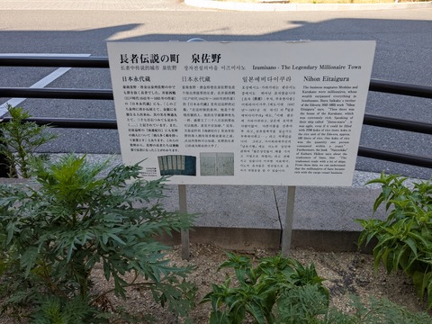 PXL_20250819_001950170