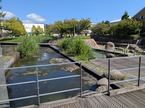 PXL_20250916_004542337