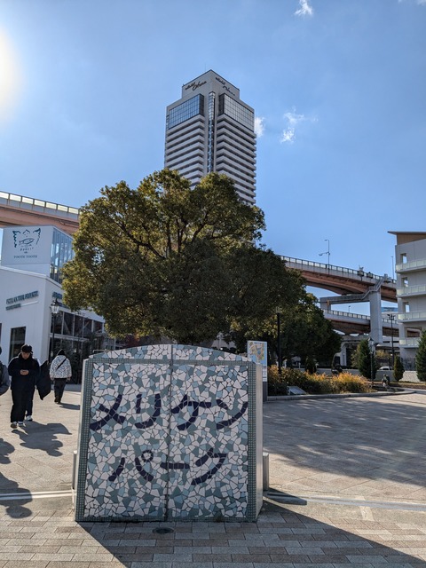 PXL_20241210_031341716