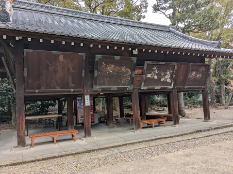 PXL_20250430_020058796
