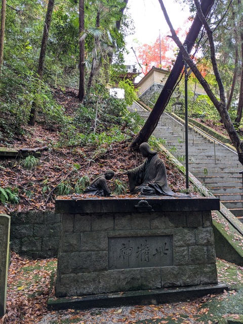 PXL_20241128_000140164