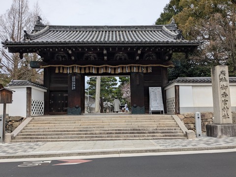 PXL_20250401_014955202