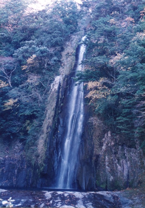 img20231016_14454683