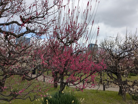 PXL_20250307_040915274