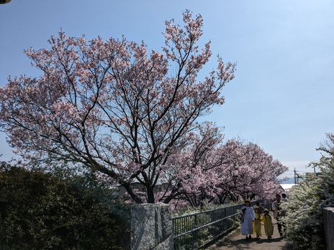 PXL_20240401_004725685