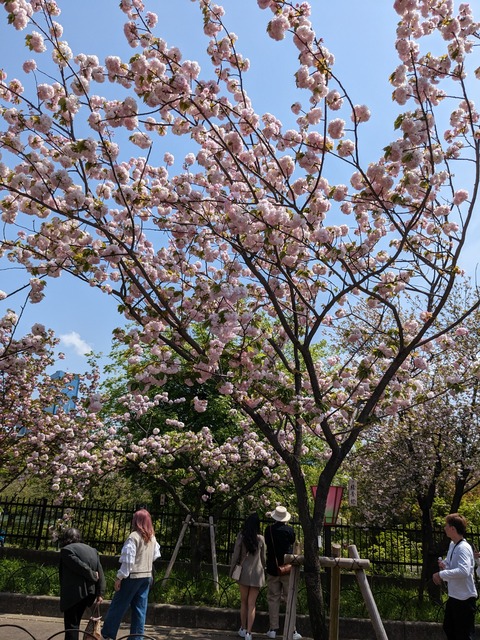 PXL_20230411_032749029