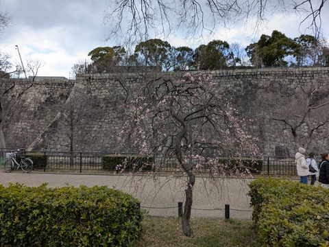 PXL_20250307_040615687