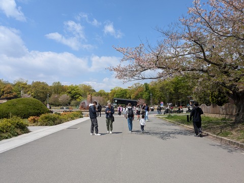 PXL_20250416_030109832