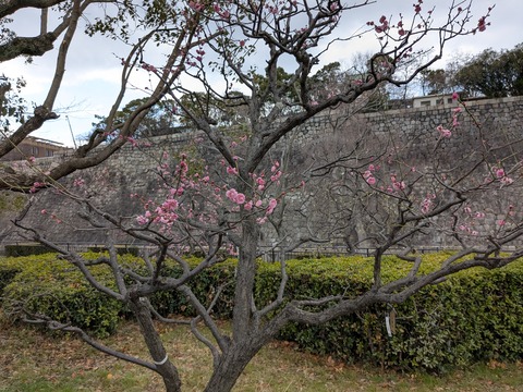 PXL_20250307_040333123