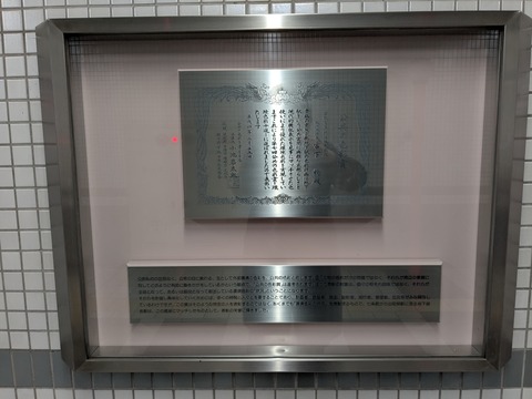 PXL_20250401_004347022