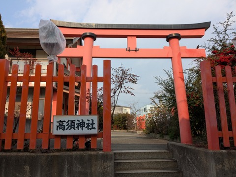 PXL_20250131_045451282