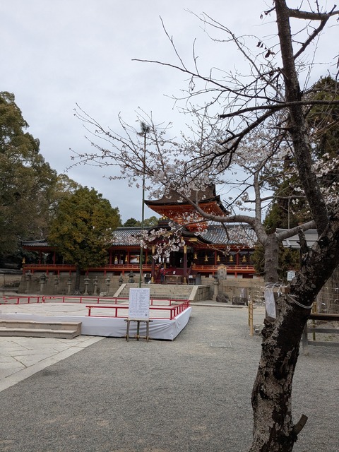 PXL_20250401_032921812~2