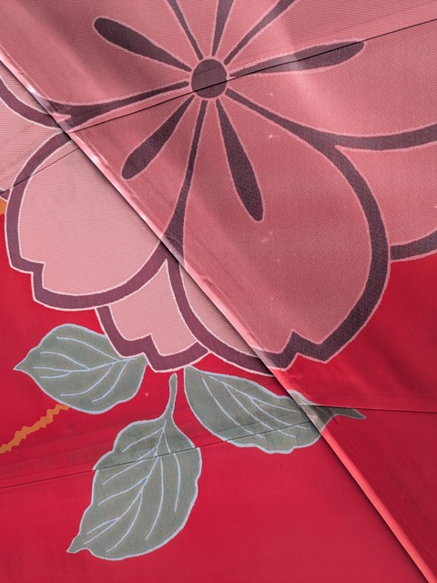 PXL_20251013_010319782