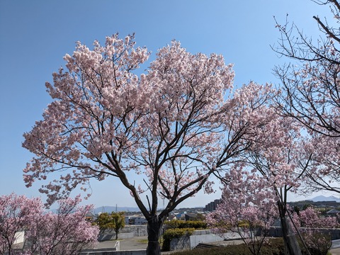 PXL_20240401_004542605