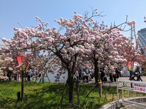 PXL_20230411_032228851