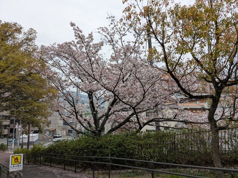 PXL_20260407_003259400
