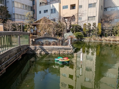 PXL_20260317_051644986