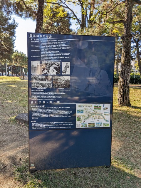 PXL_20231121_011846558