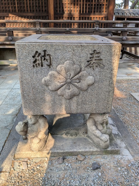 PXL_20250131_012301933