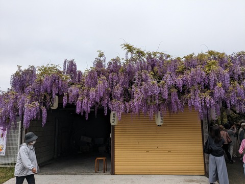 PXL_20240421_014702509