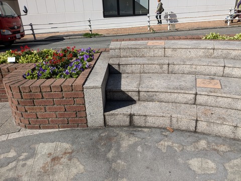 PXL_20241010_003420038.MP