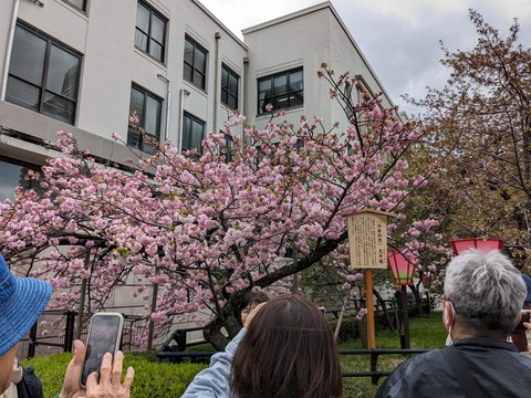 PXL_20240409_043804488.MP