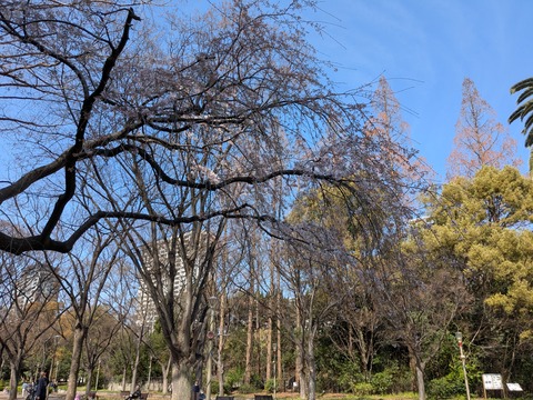 PXL_20260327_011737423