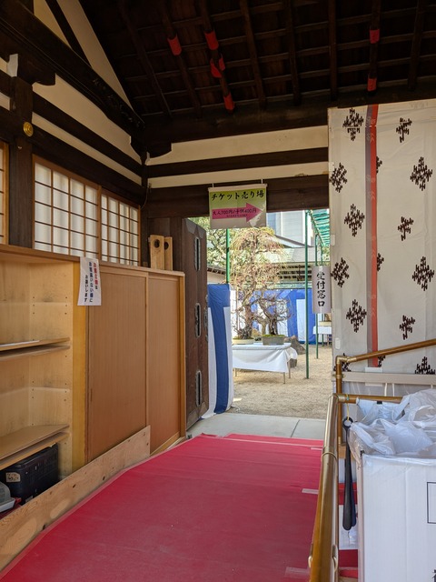 PXL_20250225_034303315