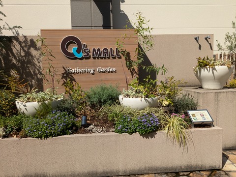 PXL_20240917_043758834