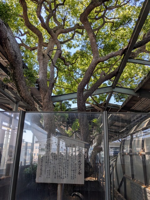PXL_20260519_034856645