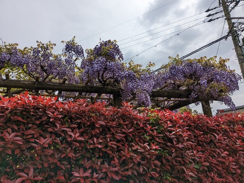 PXL_20230418_022100475