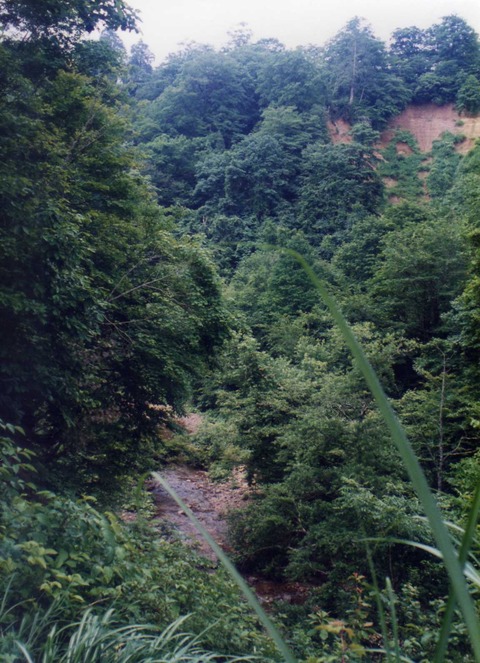 img776