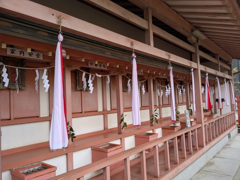 PXL_20250131_045536553