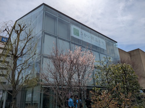 PXL_20260321_025318541